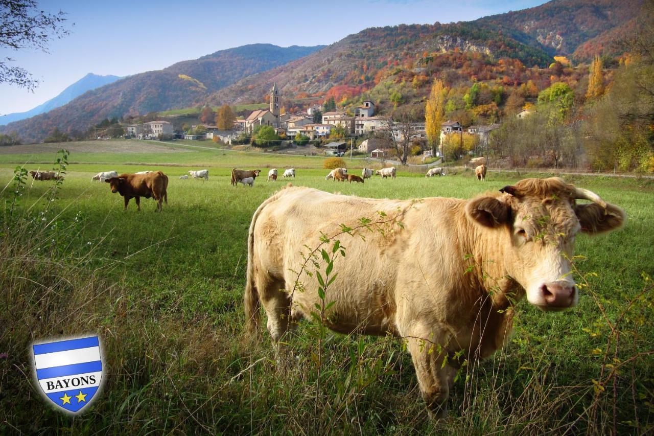Gite La Taniere Des Alpes Bayons Buitenkant foto